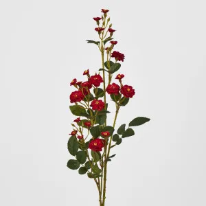 Red Burma Rose Spray by Florabelle Living, a Plants for sale on Style Sourcebook