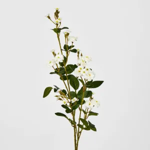 White Pom Pom Rose Spray by Florabelle Living, a Plants for sale on Style Sourcebook