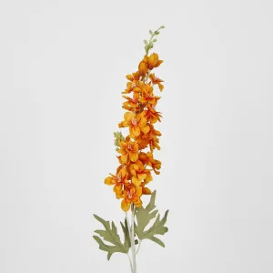 Orange Delphinium by Florabelle Living, a Plants for sale on Style Sourcebook