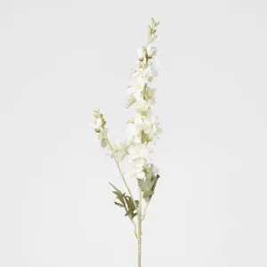White Delphinium by Florabelle Living, a Plants for sale on Style Sourcebook