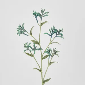 Blue Kangaroo Paw Spray by Florabelle Living, a Plants for sale on Style Sourcebook