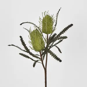 Green Banksia Spray x 2 by Florabelle Living, a Plants for sale on Style Sourcebook