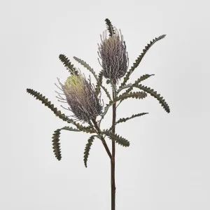 Dark Purple Banksia Spray by Florabelle Living, a Plants for sale on Style Sourcebook