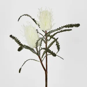 White Cream banksia Spray by Florabelle Living, a Plants for sale on Style Sourcebook