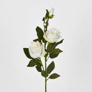 Cream White Rose Spray by Florabelle Living, a Plants for sale on Style Sourcebook
