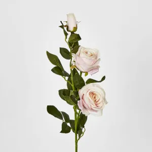 Light Pink Rose Spray by Florabelle Living, a Plants for sale on Style Sourcebook
