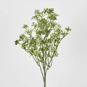 Badassi Bush with White Flowers by Florabelle Living, a Plants for sale on Style Sourcebook