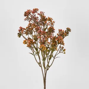 Badassi Bush with Peach Flowers by Florabelle Living, a Plants for sale on Style Sourcebook