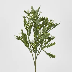 Santa Maria with White Flowers by Florabelle Living, a Plants for sale on Style Sourcebook