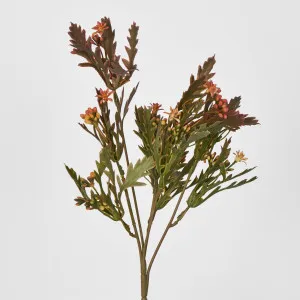 Santa Maria with Peach Flowers by Florabelle Living, a Plants for sale on Style Sourcebook