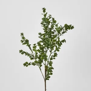 Light Green Boxwood Spray by Florabelle Living, a Plants for sale on Style Sourcebook