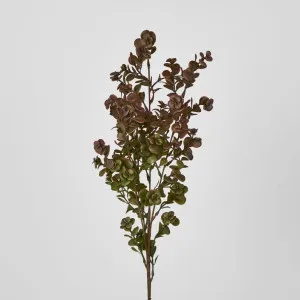 Dark Green Boxwood Spray by Florabelle Living, a Plants for sale on Style Sourcebook