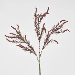 Lavender Purple Amaranthus Spray by Florabelle Living, a Plants for sale on Style Sourcebook