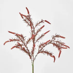 Dark Pink Amaranthus Spray by Florabelle Living, a Plants for sale on Style Sourcebook