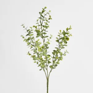 Green 65cm Eucalyptus Spray by Florabelle Living, a Plants for sale on Style Sourcebook