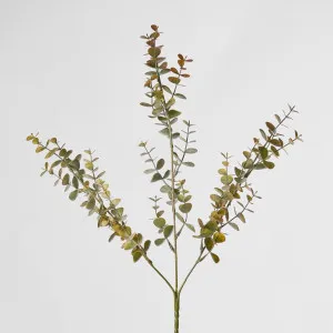 Green Pink 65cm Eucalyptus Spray by Florabelle Living, a Plants for sale on Style Sourcebook