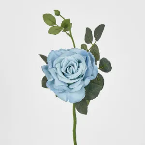 Queen Rose 35cm Blue by Florabelle Living, a Plants for sale on Style Sourcebook