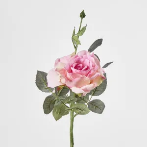Pink Short Stem Queen Rose by Florabelle Living, a Plants for sale on Style Sourcebook