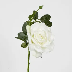 Queen Rose 35cm white by Florabelle Living, a Plants for sale on Style Sourcebook