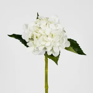 Hydrangea Water Stem 49cm White by Florabelle Living, a Plants for sale on Style Sourcebook