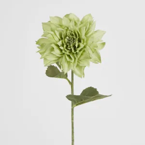 62cm Green Dahlia by Florabelle Living, a Plants for sale on Style Sourcebook