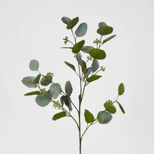 87cm Green Eucalyptus with Seed by Florabelle Living, a Plants for sale on Style Sourcebook