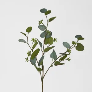 71cm Grey Green Eucalyptus with Seed by Florabelle Living, a Plants for sale on Style Sourcebook