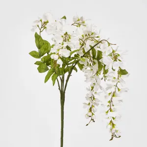 Wisteria Bush 81CM White by Florabelle Living, a Plants for sale on Style Sourcebook