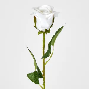 White Velvet Valentines Rose Bud by Florabelle Living, a Plants for sale on Style Sourcebook