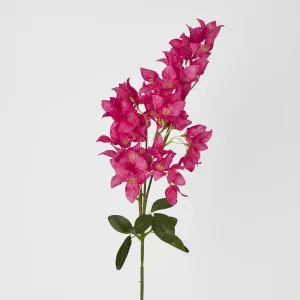 83cm Fuchsia Bougainvillea Branch by Florabelle Living, a Plants for sale on Style Sourcebook