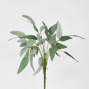 40cm Green Eucalyptus Leaf Bush by Florabelle Living, a Plants for sale on Style Sourcebook