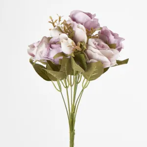 39cm Dusty Mauve Rose Bush x 9 by Florabelle Living, a Plants for sale on Style Sourcebook
