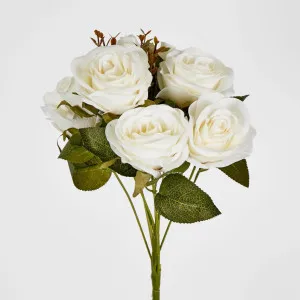 39cm White Rose Bush x 9 by Florabelle Living, a Plants for sale on Style Sourcebook