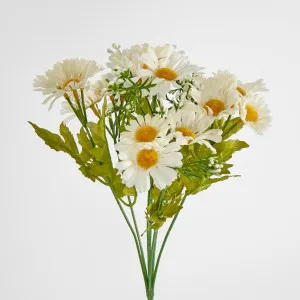 32cm White Daisy Bush by Florabelle Living, a Plants for sale on Style Sourcebook