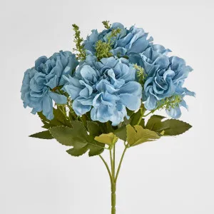 Blue Marigold Bush x 5 by Florabelle Living, a Plants for sale on Style Sourcebook