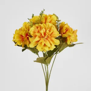 Gold Marigold Bush x 5 by Florabelle Living, a Plants for sale on Style Sourcebook
