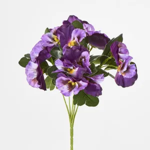 Purple Pansy Bush 32cm by Florabelle Living, a Plants for sale on Style Sourcebook