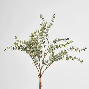Eucalyptus Bundle 4pc by Florabelle Living, a Plants for sale on Style Sourcebook