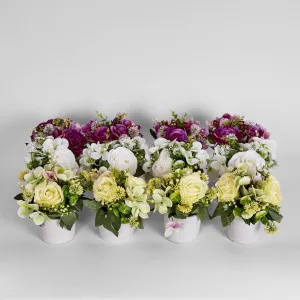 Rose Hydrangea in Pot 12 Assorted Colours White Yellow Purple by Florabelle Living, a Plants for sale on Style Sourcebook