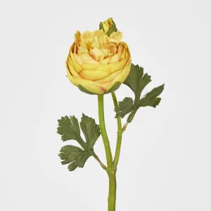 Ranunculus & Bud by Florabelle Living, a Plants for sale on Style Sourcebook