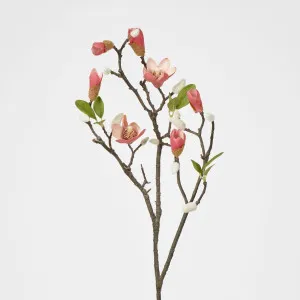 Magnolia Bud Branch by Florabelle Living, a Plants for sale on Style Sourcebook