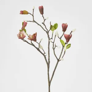 Magnolia Bud Branch by Florabelle Living, a Plants for sale on Style Sourcebook