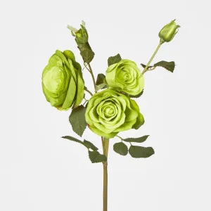 Rose x 3 & 2 Buds by Florabelle Living, a Plants for sale on Style Sourcebook