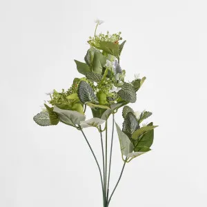 Queenanne Lace Bush by Florabelle Living, a Plants for sale on Style Sourcebook