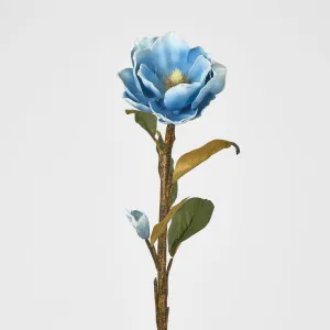 Magnolia by Florabelle Living, a Plants for sale on Style Sourcebook