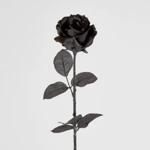 Ecquador Rose Stem Black by Florabelle Living, a Plants for sale on Style Sourcebook