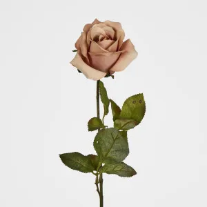 Long Stem Rose Flesh Pink by Florabelle Living, a Plants for sale on Style Sourcebook