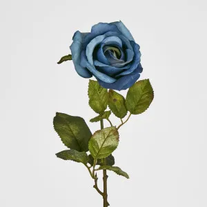 Long Stem Rose Blue by Florabelle Living, a Plants for sale on Style Sourcebook