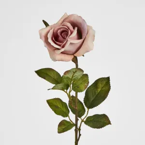 Long Stem Dusty Pastel Pink Rose by Florabelle Living, a Plants for sale on Style Sourcebook