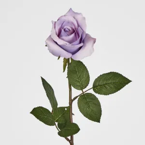Long Stem Rose Purple by Florabelle Living, a Plants for sale on Style Sourcebook